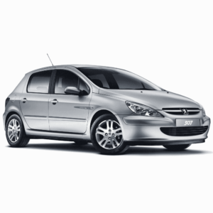 Выкуп кузова Peugeot Peugeot 307